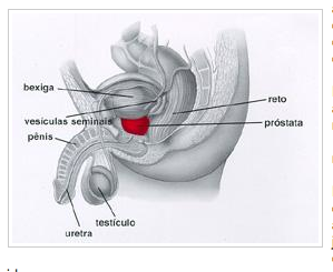 Doza de prostata rifampicina